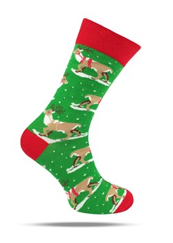 Skarpetki Bawełniane - Tematyczne - Zielone w Renifery SKEMACSHSTR0135reniferyZiel ze sklepu JegoSzafa.pl w kategorii Skarpetki męskie - zdjęcie 188531560