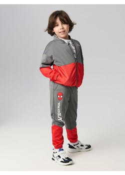 Sinsay - Spodnie dresowe jogger z nadrukiem Spiderman - szary ze sklepu Sinsay w kategorii Spodnie chłopięce - zdjęcie 188549223