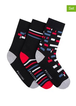 Puccini Skarpety (3 pary) w kolorze czarnym ze sklepu Limango Polska w kategorii Skarpetki męskie - zdjęcie 188569750