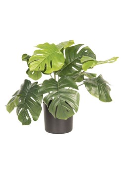 Clayre &amp; Eef Sztuczna roślina w kolorze zielonym - wys. 40 x Ø 42 cm ze sklepu Limango Polska w kategorii Doniczki i osłonki - zdjęcie 188574610