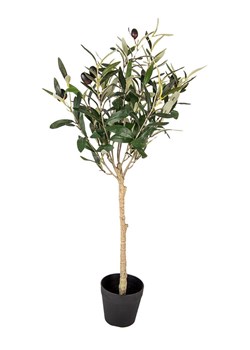 Clayre &amp; Eef Drzewko dekoracyjne w kolorze zielono-beżowym - 15 x 70 x 15 cm ze sklepu Limango Polska w kategorii Doniczki i osłonki - zdjęcie 188574611