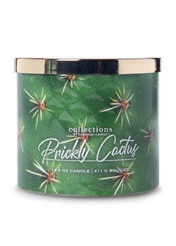 Colonial Candle Świeca zapachowa "Desert Prickly Cactus" - 411 g ze sklepu Limango Polska w kategorii Świece i dyfuzory - zdjęcie 188586312