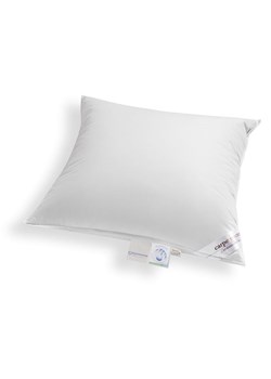 Schäfer Poduszka "Carpe noctem - Medium" w kolorze srebrnym ze sklepu Limango Polska w kategorii Poduszki dekoracyjne - zdjęcie 188598974