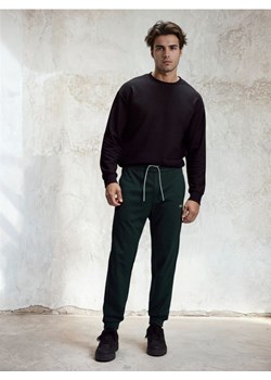 Sinsay - Spodnie dresowe jogger - zielony ze sklepu Sinsay w kategorii Spodnie męskie - zdjęcie 188656464
