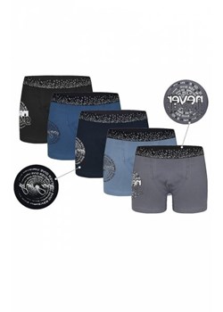 Donella Boys 8071PB21 bokserki chłopięce ze sklepu intimiti.pl w kategorii Majtki dziecięce - zdjęcie 188684942