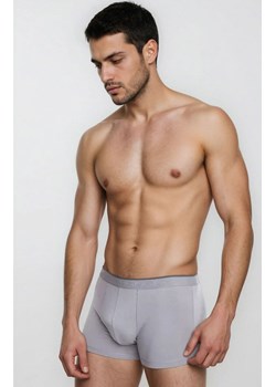 Szare bokserki męskie z dłuższymi nogawkami Iron, Kolor szary, Rozmiar M, Julimex ze sklepu Intymna w kategorii Majtki męskie - zdjęcie 188691151
