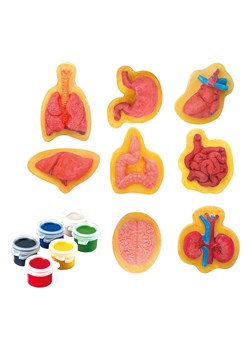 Explora Zestaw do malowania - 4+ ze sklepu Limango Polska w kategorii Zabawki - zdjęcie 188742052