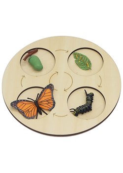 Andreu Toys Gra edukacyjna - 3+ ze sklepu Limango Polska w kategorii Zabawki - zdjęcie 188742524