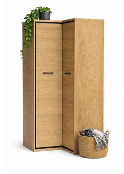 Szafa narożna hikora naturalna G0-F49 ze sklepu Edinos.pl w kategorii Szafy - zdjęcie 188757164