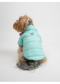 Paws&amp;Whiskers Bluza w kolorze turkusowym dla psa ze sklepu Limango Polska w kategorii Dla zwierząt - zdjęcie 188812953