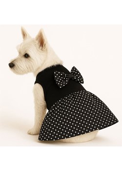 Paws&amp;Whiskers Bluza w kolorze czarnym dla psa ze sklepu Limango Polska w kategorii Dla zwierząt - zdjęcie 188813083