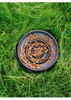 Paws&amp;Whiskers Miska w kolorze czarnym dla zwierząt - wys. 6 x Ø 16 cm ze sklepu Limango Polska w kategorii Dla zwierząt - zdjęcie 188813093