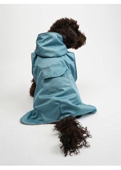 Paws&amp;Whiskers Bluza w kolorze błękitnym dla psa ze sklepu Limango Polska w kategorii Dla zwierząt - zdjęcie 188813150