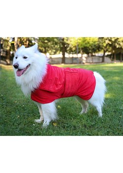 Paws&amp;Whiskers Płaszcz w kolorze czerwonym dla psa ze sklepu Limango Polska w kategorii Dla zwierząt - zdjęcie 188813170