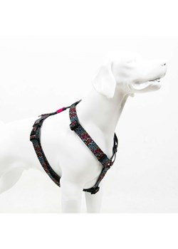 Paws&amp;Whiskers Szelki "Graffitti" w kolorze czarnym ze wzorem dla psa ze sklepu Limango Polska w kategorii Dla zwierząt - zdjęcie 188813250