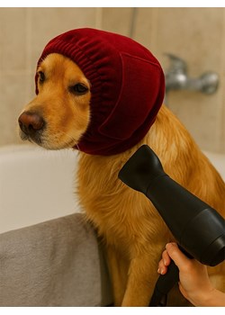 Paws&amp;Whiskers Opaska ochronna w kolorze czerwonym na uszy ze sklepu Limango Polska w kategorii Dla zwierząt - zdjęcie 188813342