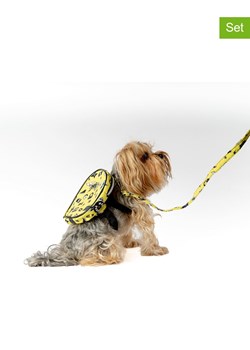 Paws&amp;Whiskers 2-częściowy zestaw w kolorze żółtym dla psa ze sklepu Limango Polska w kategorii Dla zwierząt - zdjęcie 188813364