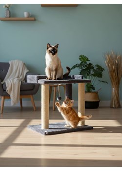 Paws&amp;Whiskers Drapak "Liza" w kolorze antracytowym dla kota - 50 x 48 x 35 cm ze sklepu Limango Polska w kategorii Dla zwierząt - zdjęcie 188813383