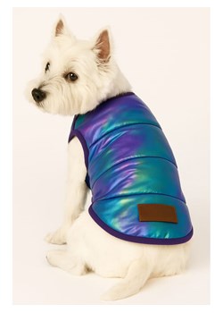 Paws&amp;Whiskers Bluza w kolorze niebiesko-fioletowym dla psa ze sklepu Limango Polska w kategorii Dla zwierząt - zdjęcie 188813480