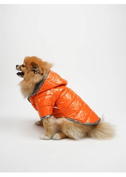 Paws&amp;Whiskers Bluza w kolorze pomarańczowym dla psa ze sklepu Limango Polska w kategorii Dla zwierząt - zdjęcie 188813544