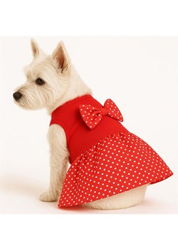 Paws&amp;Whiskers Bluza w kolorze czerwonym dla psa ze sklepu Limango Polska w kategorii Dla zwierząt - zdjęcie 188813733