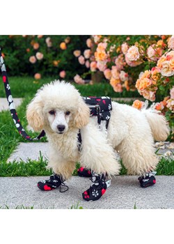 Paws&amp;Whiskers Buty w kolorze czarnym dla psa ze sklepu Limango Polska w kategorii Dla zwierząt - zdjęcie 188813773