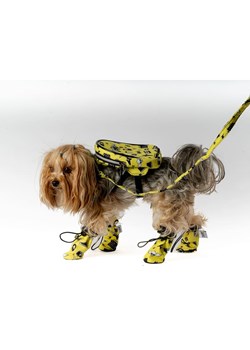 Paws&amp;Whiskers Buty w kolorze żółtym dla psa ze sklepu Limango Polska w kategorii Dla zwierząt - zdjęcie 188813784