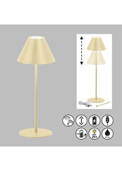 FH Lighting Lampa stołowa LED "Kano" w kolorze złotym - wys. 36 x Ø 14 cm ze sklepu Limango Polska w kategorii Oświetlenie - zdjęcie 188823473