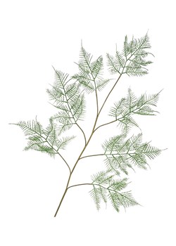 daan kromhout Dekoracyjna gałązka w kolorze ciemnozielono-brązowym - wys. 138 cm ze sklepu Limango Polska w kategorii Doniczki i osłonki - zdjęcie 188888841