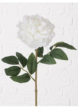 Boltze Dekoracyjny kwiat w kolorze biało-zielonym - wys. 17 cm ze sklepu Limango Polska w kategorii Doniczki i osłonki - zdjęcie 188909961