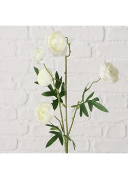 Boltze Sztuczny kwiat "Ranunkel" w kolorze kremowo-zielonym - wys. 53 cm ze sklepu Limango Polska w kategorii Doniczki i osłonki - zdjęcie 188910103