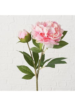 Boltze Sztuczny kwiat "Peony" w kolorze jasnoróżowo-zielonym - wys. 72 cm ze sklepu Limango Polska w kategorii Doniczki i osłonki - zdjęcie 188910564