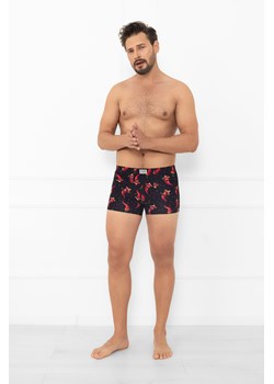 Bokserki męskie Roger ze sklepu italianfashion w kategorii Majtki męskie - zdjęcie 188927120