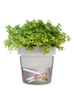 SuckUK Sztuczna roślina z tajną przegródką - wys. 13,5 x Ø 15,5 cm ze sklepu Limango Polska w kategorii Akcesoria i przechowywanie - zdjęcie 188952161