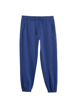 Spodnie dresowe męskie TTROM1140 4F ze sklepu SPORT-SHOP.pl w kategorii Spodnie męskie - zdjęcie 188997522