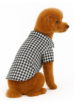 Paws&amp;Whiskers Bluza w kolorze czarno-białym dla psa ze sklepu Limango Polska w kategorii Dla zwierząt - zdjęcie 188999240