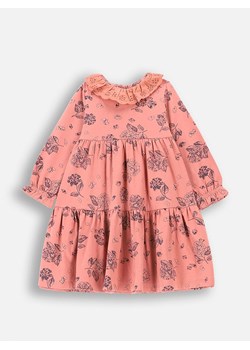 Coccodrillo Sukienka w kolorze pomarańczowym ze sklepu Limango Polska w kategorii Sukienki niemowlęce - zdjęcie 189094173