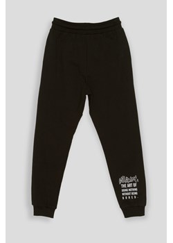Czarne spodnie dresowe z nadrukiem na nogawce, Rozmiar - 140, Kolor - Czarny ze sklepu REPORTER w kategorii Spodnie chłopięce - zdjęcie 189105700