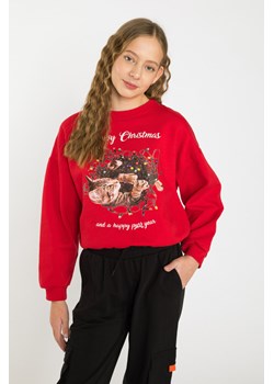 Czerwona bluza dresowa ze świątecznym nadrukiem, Rozmiar - 170, Kolor - Czerwony ze sklepu REPORTER w kategorii Bluzy dziewczęce - zdjęcie 189106034