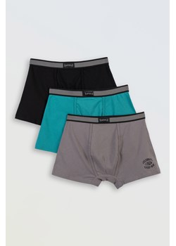 Bawełniane majtki z ozdobną gumą 3 PAK, Rozmiar - 176, Kolor - Multikolor ze sklepu REPORTER w kategorii Majtki dziecięce - zdjęcie 189108033