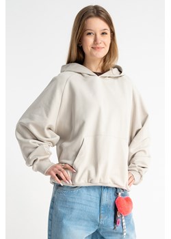 Jasnoszara bluza BOXY z kapturem z minimalistycznym haftem na rękawie, Rozmiar - 146, Kolor - Szary ze sklepu REPORTER w kategorii Bluzy dziewczęce - zdjęcie 189111154
