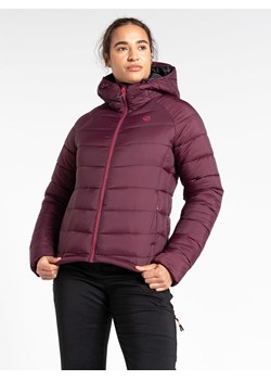 Dare 2b Kurtka pikowana "Torrek" w kolorze bordowym ze sklepu Limango Polska w kategorii Kurtki damskie - zdjęcie 189167683