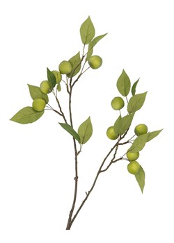 daan kromhout Dekoracyjna gałązka "Apple Plum" w kolorze zielonym - wys. 76 cm ze sklepu Limango Polska w kategorii Doniczki i osłonki - zdjęcie 189175540