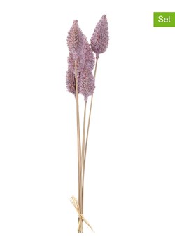 LEONARDO Sztuczne rośliny (2 szt.) "Sea Holly" w kolorze fioletowym - dł. 65 cm ze sklepu Limango Polska w kategorii Doniczki i osłonki - zdjęcie 189252454