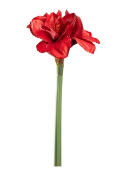 LEONARDO Sztuczna roślina "Autentico" w kolorze czerwonym - dł. 55 cm ze sklepu Limango Polska w kategorii Doniczki i osłonki - zdjęcie 189252482