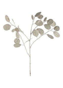 LEONARDO Sztuczna roślina "Dollar plant" w kolorze białym - dł. 86 cm ze sklepu Limango Polska w kategorii Doniczki i osłonki - zdjęcie 189252590