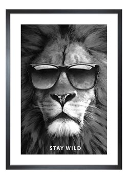 Ars Longa Druk artystyczny "Stay Wild Lion" w ramce - 70 x 50 cm ze sklepu Limango Polska w kategorii Obrazy - zdjęcie 189260890