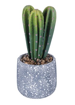 Villa d´Este Sztuczny kwiat "Cactus" w kolorze zielono-szarym - 29,5 cm ze sklepu Limango Polska w kategorii Doniczki i osłonki - zdjęcie 189380112