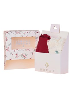 Majtki figi Moraj BCL1900-010/2 bordo/ecru ze sklepu kontri.pl w kategorii Majtki damskie - zdjęcie 189392184