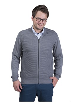Parys rozpinany - popiel - L ze sklepu Swetry Lasota w kategorii Swetry męskie - zdjęcie 83006102